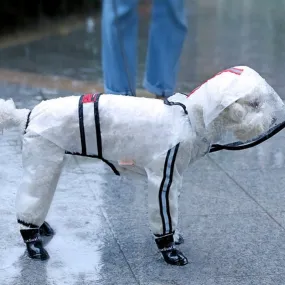 "Rainy Daze" Waterproof Pet Raincoat