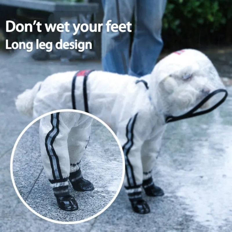 "Rainy Daze" Waterproof Pet Raincoat