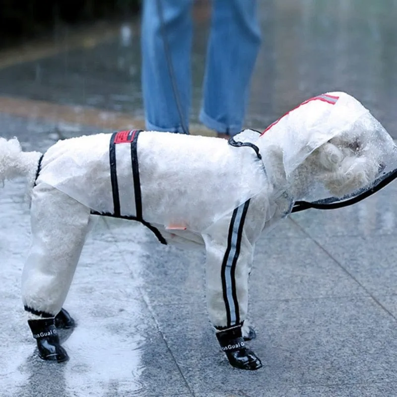 "Rainy Daze" Waterproof Pet Raincoat