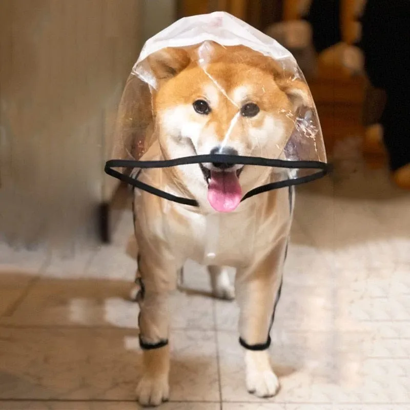 "Rainy Daze" Waterproof Pet Raincoat