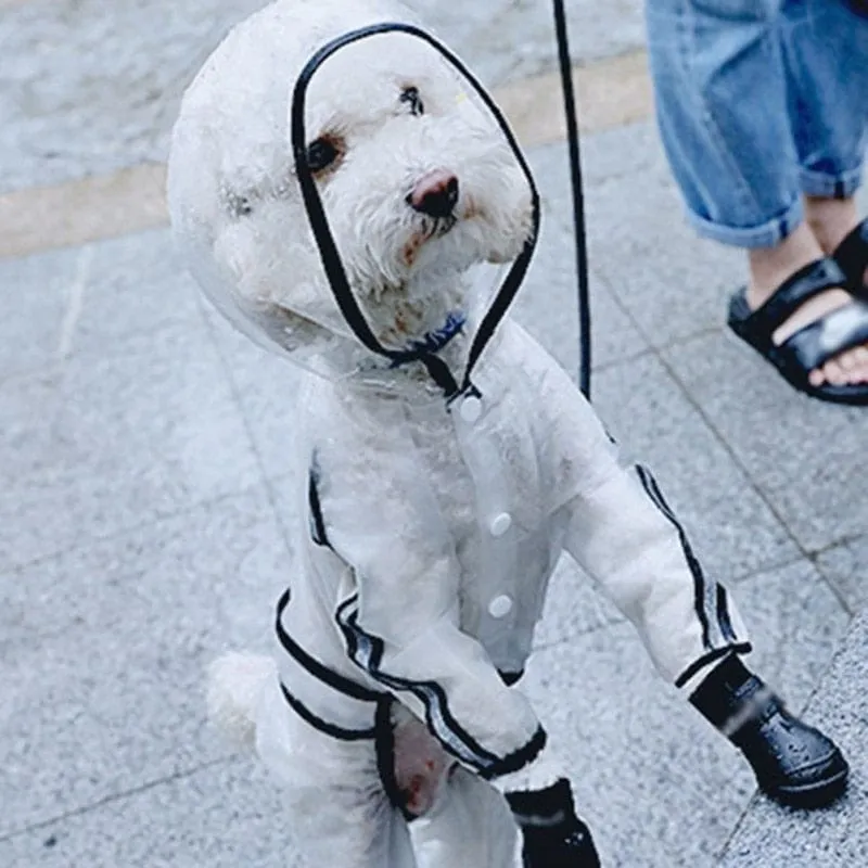 "Rainy Daze" Waterproof Pet Raincoat