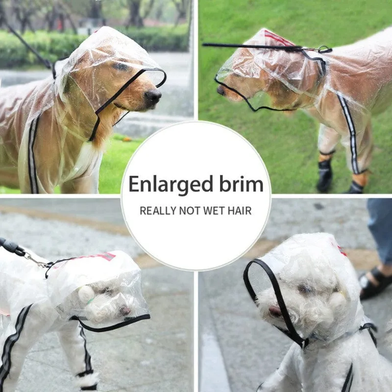 "Rainy Daze" Waterproof Pet Raincoat